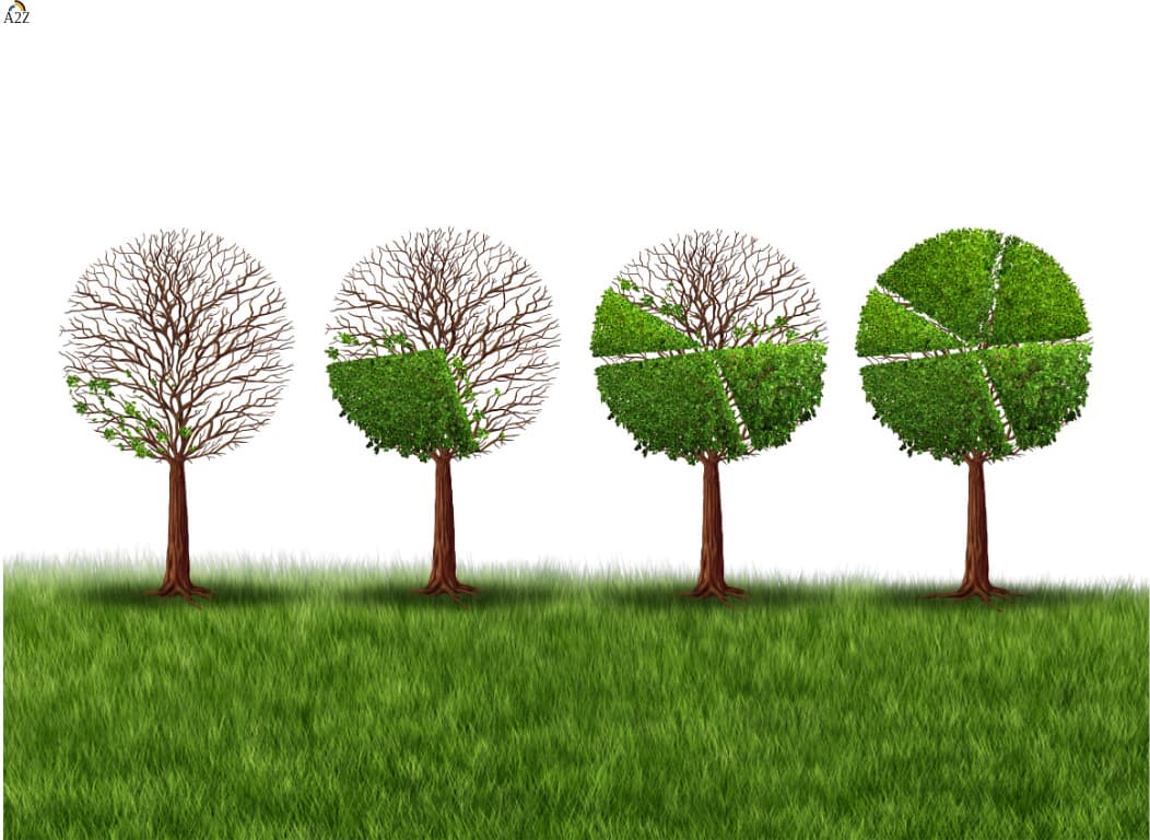 Circular Economy Promotion