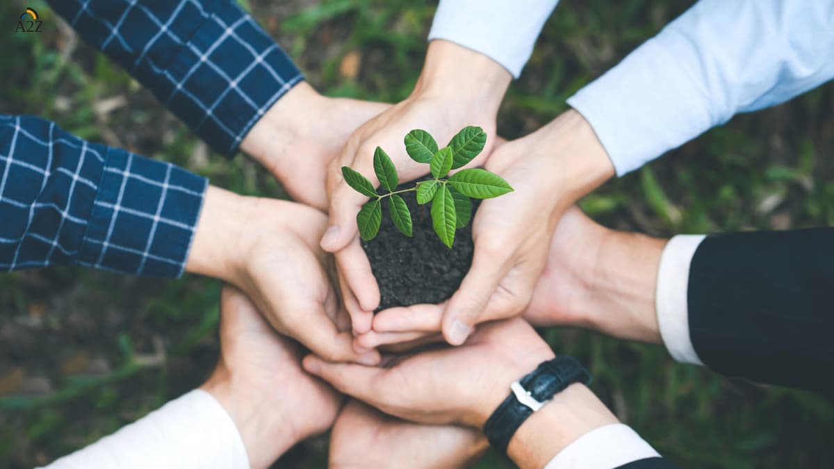 Environmental Stewardship
